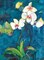 Phalaenopsis II Poster Print by Connie Tunick - Item # VARPDXTCP147